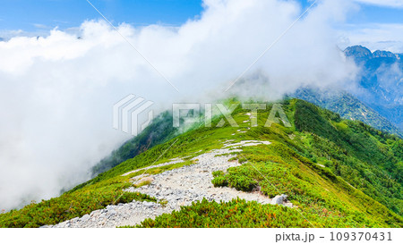 夏の爺ヶ岳登山(爺ヶ岳南峰~種池山荘) 夏の爺ヶ岳登山(爺ヶ岳南峰~種池山荘) 109370431