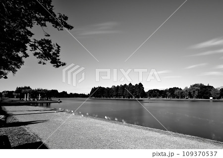 晩秋の水元公園の風景　 長時間撮影 モノクローム 109370537