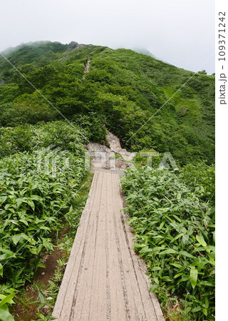 Mount Tanigawa is One of Japanese famous 100 mountains. Mount Tanigawa, Tanigawadake is a craggy, rugged mountain found on the border of Gunma and Niigata prefectures in northern Minakami. 109371242
