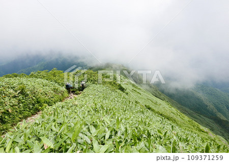 Mount Tanigawa is One of Japanese famous 100 mountains. Mount Tanigawa, Tanigawadake is a craggy, rugged mountain found on the border of Gunma and Niigata prefectures in northern Minakami. Mount Tanigawa is One of Japanese famous 100 mountains. Mount Tanigawa, Tanigawadake is a craggy, rugged mountain found on the border of Gunma and Niigata prefectures in northern Minakami. 109371259