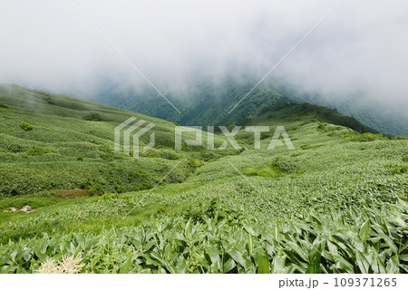 Mount Tanigawa is One of Japanese famous 100 mountains. Mount Tanigawa, Tanigawadake is a craggy, rugged mountain found on the border of Gunma and Niigata prefectures in northern Minakami. 109371265