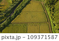 空撮イノシシ被害 109371587