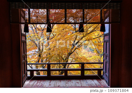 2023晩秋 談山神社の紅葉 東西透廊 扉の向こうの紅葉 2023晩秋 談山神社の紅葉 東西透廊 扉の向こうの紅葉 109371804