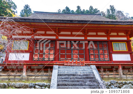 2023晩秋　談山神社の紅葉　神廟拝所 (旧講堂) 109371808