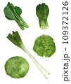 葉物野菜 109372126