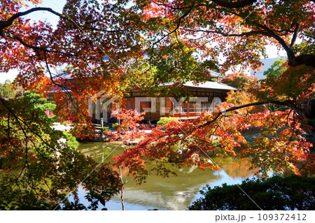 紅葉に埋まる書院 109372412