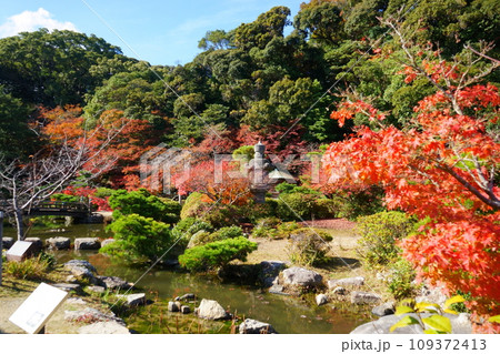 紅葉に映える長府庭園 紅葉に映える長府庭園 109372413