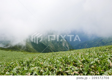 Mount Tanigawa is One of Japanese famous 100 mountains. Mount Tanigawa, Tanigawadake is a craggy, rugged mountain found on the border of Gunma and Niigata prefectures in northern Minakami. 109372708