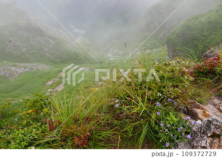 Mount Tanigawa is One of Japanese famous 100 mountains. Mount Tanigawa, Tanigawadake is a craggy, rugged mountain found on the border of Gunma and Niigata prefectures in northern Minakami. 109372729