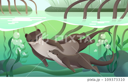 Otter family swimming in river 109373310