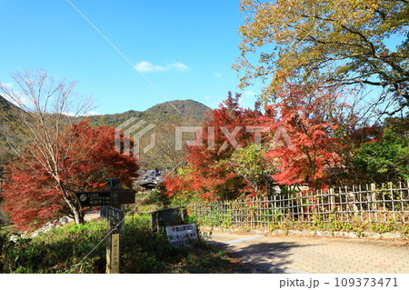 丹波伝統工芸公園「陶の郷（すえのさと）」紅葉風景 109373471