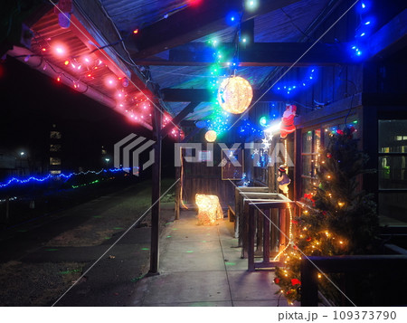 渡良瀬渓谷鉄道　上神梅駅のイルミネーション 109373790