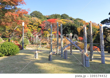 秋の肥後細川庭園（ひごほそかわていえん） 109374432