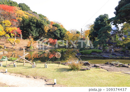 秋の肥後細川庭園（ひごほそかわていえん） 109374437