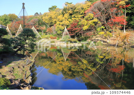 秋の肥後細川庭園(ひごほそかわていえん) 秋の肥後細川庭園(ひごほそかわていえん) 109374446
