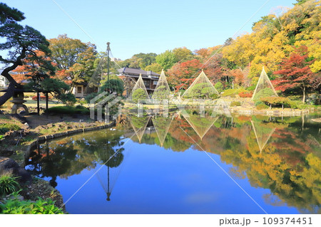 秋の肥後細川庭園(ひごほそかわていえん) 秋の肥後細川庭園(ひごほそかわていえん) 109374451