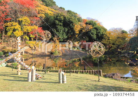 秋の肥後細川庭園（ひごほそかわていえん） 109374458