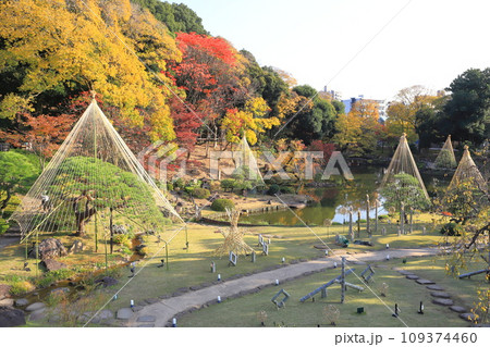 秋の肥後細川庭園(ひごほそかわていえん) 秋の肥後細川庭園(ひごほそかわていえん) 109374460