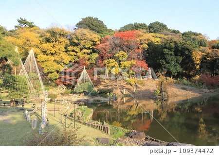 秋の肥後細川庭園(ひごほそかわていえん) 秋の肥後細川庭園(ひごほそかわていえん) 109374472