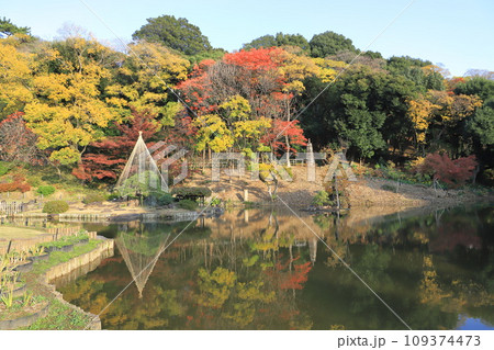 秋の肥後細川庭園(ひごほそかわていえん) 秋の肥後細川庭園(ひごほそかわていえん) 109374473