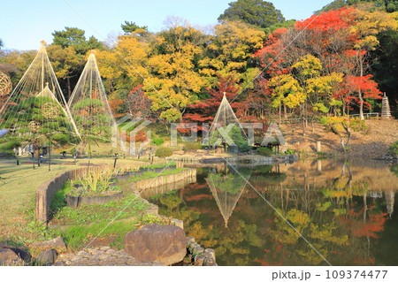 秋の肥後細川庭園(ひごほそかわていえん) 秋の肥後細川庭園(ひごほそかわていえん) 109374477