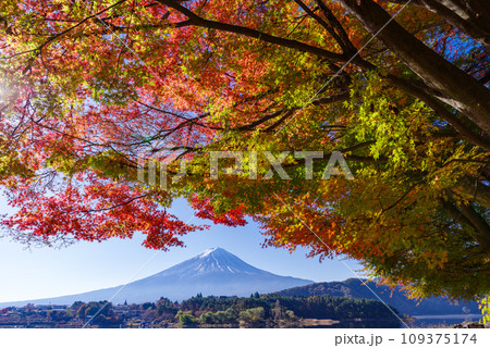 富士山と紅葉 109375174