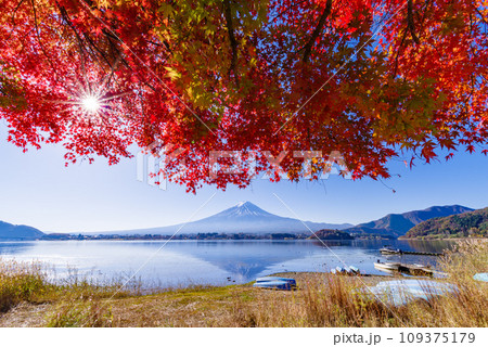 富士山と紅葉 富士山と紅葉 109375179