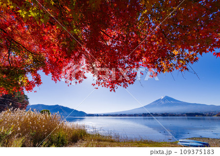富士山と紅葉 109375183