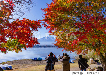富士山と紅葉 富士山と紅葉 109375196