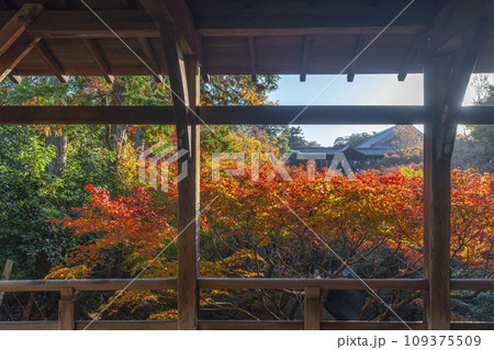 秋の京都東山 東福寺 臥雲橋から見た紅葉 秋の京都東山 東福寺 臥雲橋から見た紅葉 109375509