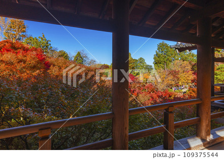 秋の京都東山　東福寺　通天橋から見た洗玉澗の紅葉 109375544