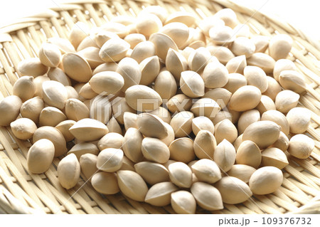 笊に入っている銀杏の種を白背景で撮影 笊に入っている銀杏の種を白背景で撮影 109376732