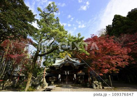 粟田神社 本殿 紅葉 粟田神社 本殿 紅葉 109376847