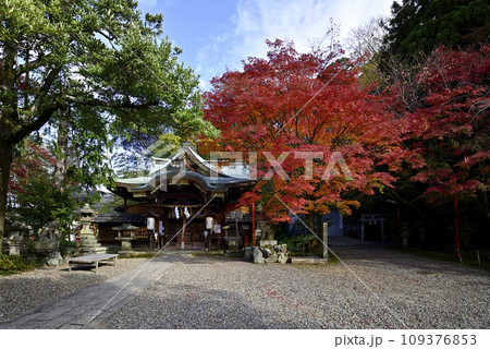 粟田神社　本殿　紅葉 109376853