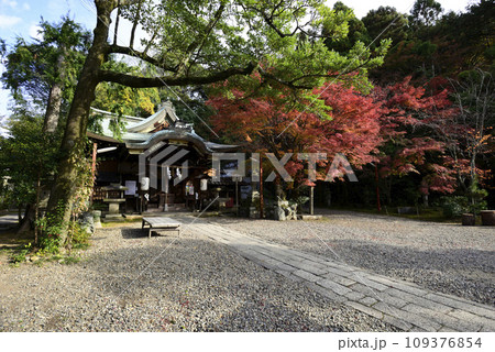 粟田神社　本殿　紅葉 109376854
