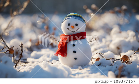 キュートな雪だるま キュートな雪だるま 109377157