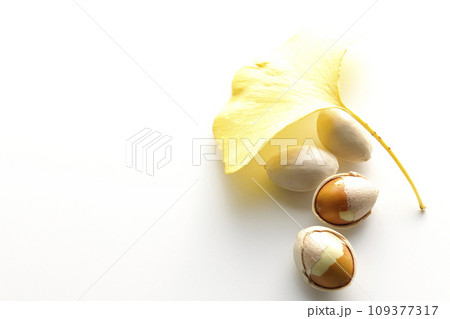銀杏の種と葉を白背景で撮影 109377317
