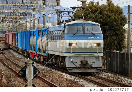 EF66電気機関車が牽引するコンテナ貨物列車 109377717