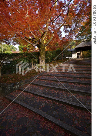 安楽寺 山門の紅葉 安楽寺 山門の紅葉 109378065