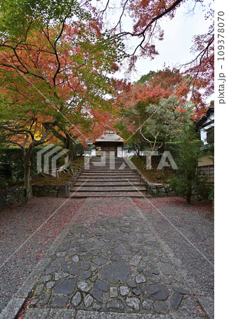 安楽寺　山門の紅葉 109378070