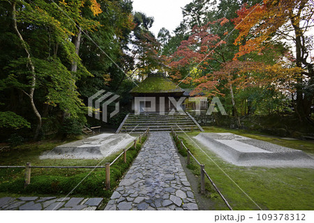 法然院　白砂壇　紅葉 109378312
