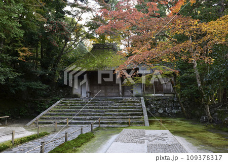 法然院　白砂壇　紅葉 109378317