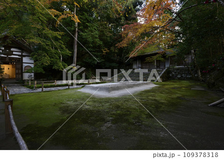 法然院　白砂壇　紅葉 109378318
