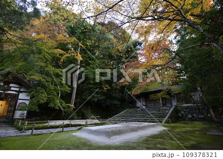 法然院 白砂壇 紅葉 法然院 白砂壇 紅葉 109378321