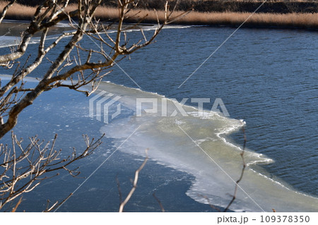 春採公園 春採湖 春採公園 春採湖 109378350