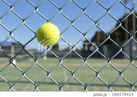 食い込むテニスボール 食い込むテニスボール 109378415