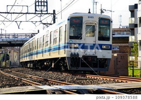 車齢50年… ベテラン通勤車『8000系』快走する東武アーバンパークライン 109378588