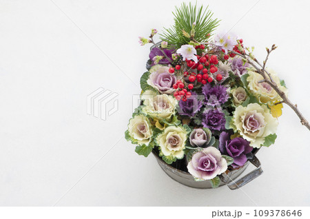 葉牡丹の寄せ植えと正月の花 109378646