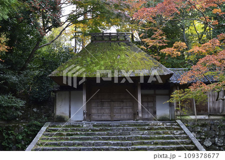 法然院　山門（額縁門）紅葉 109378677