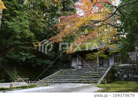 法然院 山門(額縁門)紅葉 法然院 山門(額縁門)紅葉 109378679